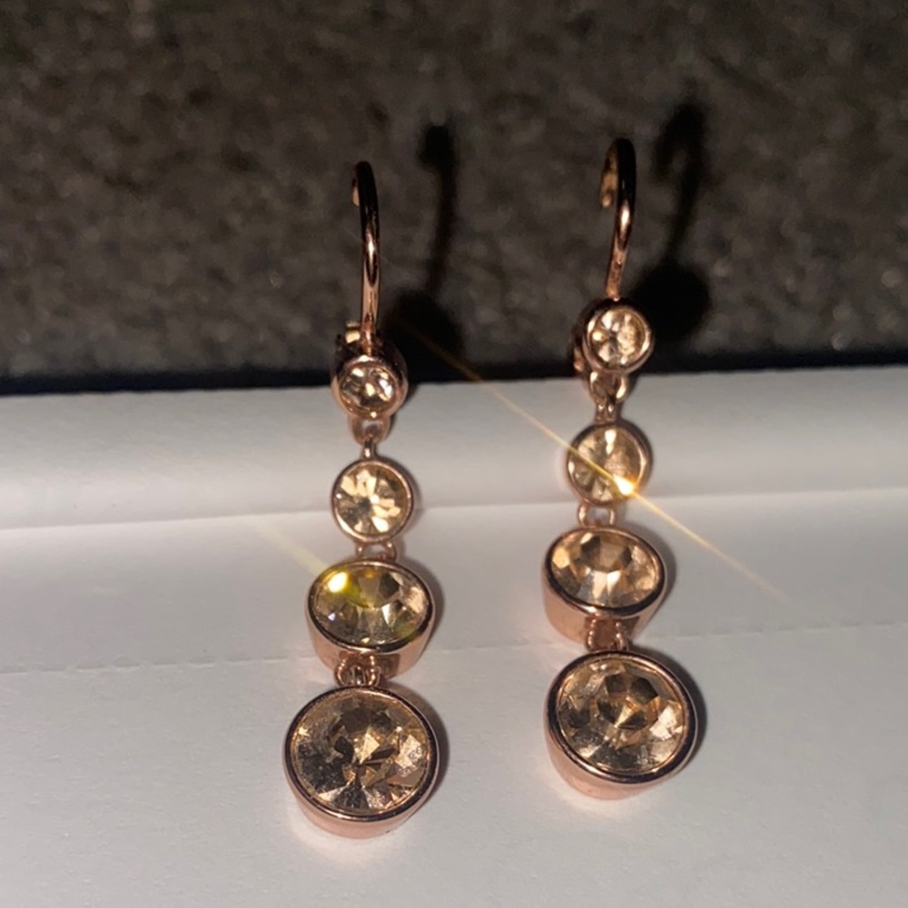 Rose Gold Drop Earrings